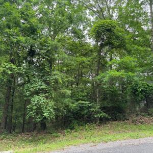 Photo #2 of Lot 1879 BUCCANEER BLVD, GREENBACKVILLE, VA 0.5 acres