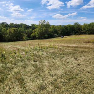 Photo #14 of MILL RACE RD, VERONA, VA 6.9 acres