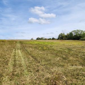 Photo #16 of MILL RACE RD, VERONA, VA 6.9 acres