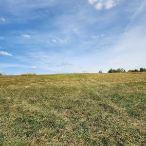 Photo #19 of MILL RACE RD, VERONA, VA 6.9 acres