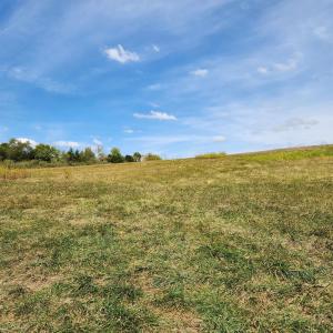 Photo #21 of MILL RACE RD, VERONA, VA 6.9 acres