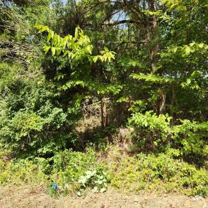 Photo #22 of MILL RACE RD, VERONA, VA 6.9 acres