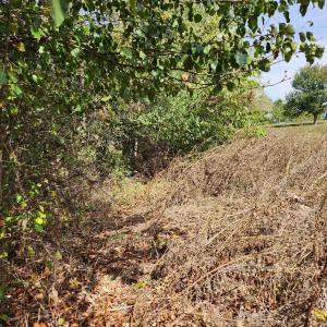 Photo #6 of MILL RACE RD, VERONA, VA 6.9 acres