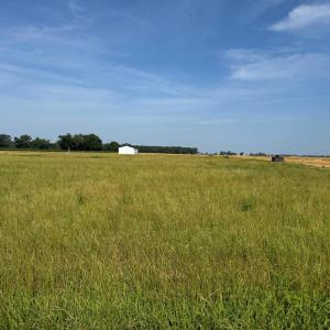 Photo #9 of Lots 1&2 JENKINS BRIDGE LANE, NEW CHURCH, VA 2.0 acres