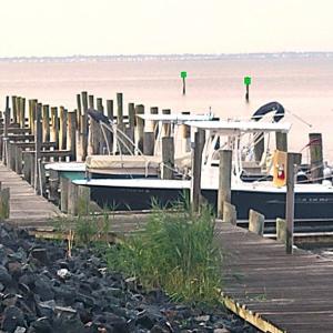 Photo #17 of Lot 1347 ANCHOR CT, GREENBACKVILLE, VA 11.0 acres