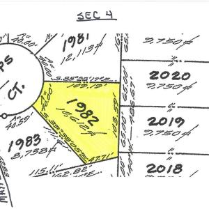 Photo #2 of 1982 SHIPS COURT, GREENBACKVILLE, VA 40.0 acres
