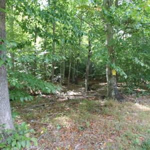 Photo #3 of LOUISA RD, KESWICK, VA 112.7 acres
