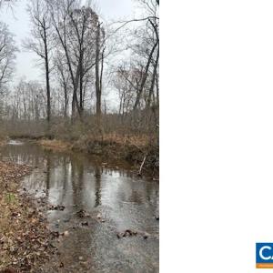 Photo #8 of LOUISA RD, KESWICK, VA 112.7 acres