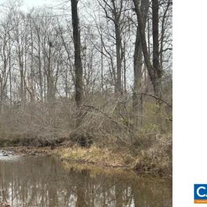 Photo #9 of LOUISA RD, KESWICK, VA 112.7 acres