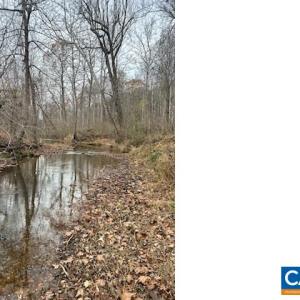Photo #7 of LOUISA RD, KESWICK, VA 112.7 acres