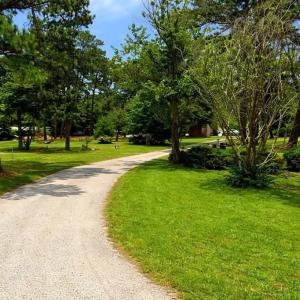 Photo #3 of L1 TAYLOR ST, CHINCOTEAGUE, VA 0.5 acres