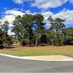Photo #5 of L1 TAYLOR ST, CHINCOTEAGUE, VA 0.5 acres