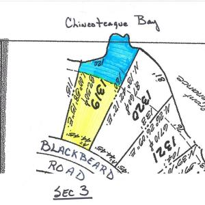 Photo #8 of 1319 BLACKBEARD RD, GREENBACKVILLE, VA 44.0 acres