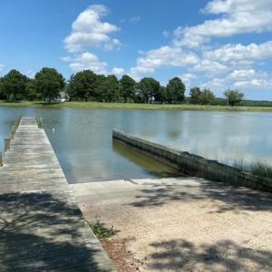 Photo #10 of Lot 14 POND VIEW COURT, PAINTER, VA 3.3 acres