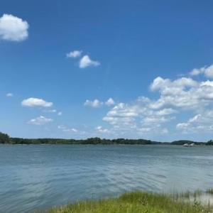 Photo #2 of Lot 14 POND VIEW COURT, PAINTER, VA 3.3 acres