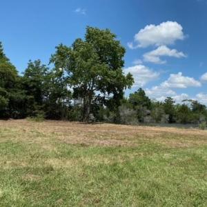 Photo #4 of Lot 14 POND VIEW COURT, PAINTER, VA 3.3 acres
