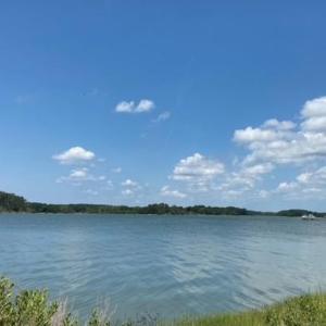 Photo #5 of Lot 14 POND VIEW COURT, PAINTER, VA 3.3 acres