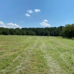 Photo #6 of Lot 14 POND VIEW COURT, PAINTER, VA 3.3 acres