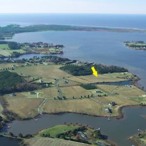 Photo #12 of Lot 14 POND VIEW COURT, PAINTER, VA 3.3 acres