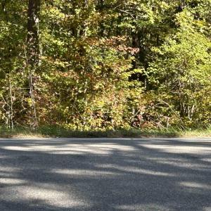 Photo #3 of THREE NOTCH RD, LOUISA, VA 14.9 acres