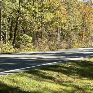 Photo #4 of THREE NOTCH RD, LOUISA, VA 14.9 acres