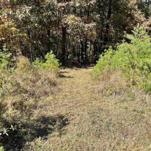 Photo #8 of THREE NOTCH RD, LOUISA, VA 14.9 acres