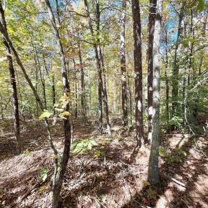 Photo #6 of THREE NOTCH RD, LOUISA, VA 14.9 acres