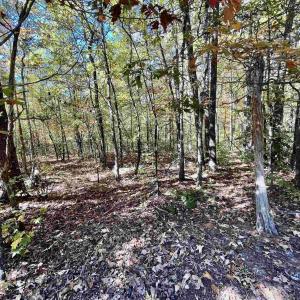 Photo #7 of THREE NOTCH RD, LOUISA, VA 14.9 acres