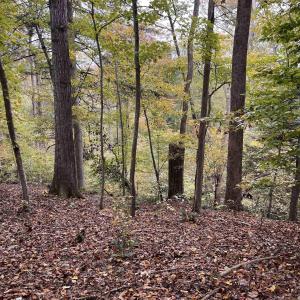 Photo #2 of 14 MECHUNK TER, PALMYRA, VA 1.4 acres