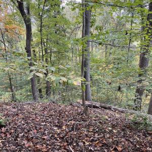 Photo #3 of 14 MECHUNK TER, PALMYRA, VA 1.4 acres