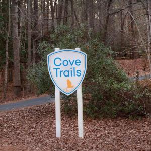 Photo #16 of Lot 1271 CAPTAINS CORRIDOR, GREENBACKVILLE, VA 9.0 acres