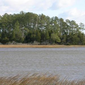 Photo #11 of 143 acre RIVERS EDGE WAY, QUINBY, VA 143.0 acres