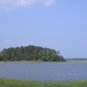 Photo #12 of 143 acre RIVERS EDGE WAY, QUINBY, VA 143.0 acres