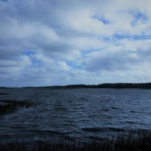Photo #3 of 143 acre RIVERS EDGE WAY, QUINBY, VA 143.0 acres