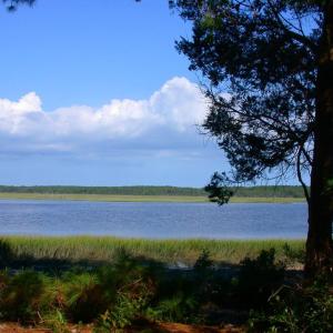 Photo #4 of 143 acre RIVERS EDGE WAY, QUINBY, VA 143.0 acres