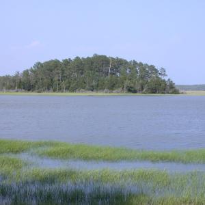 Photo #5 of 143 acre RIVERS EDGE WAY, QUINBY, VA 143.0 acres