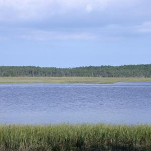 Photo #9 of 143 acre RIVERS EDGE WAY, QUINBY, VA 143.0 acres