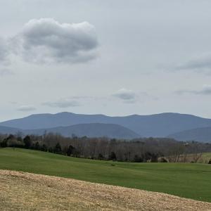 Photo #1 of 3720 MORRIS MILL RD, SWOOPE, VA 23.8 acres