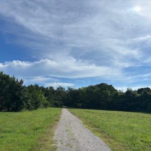 Photo #3 of 7T HUNGARS POINT, MACHIPONGO, VA 6.5 acres