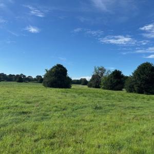 Photo #4 of 7T HUNGARS POINT, MACHIPONGO, VA 6.5 acres