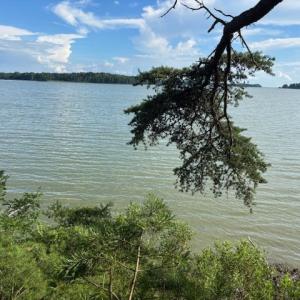 Photo #6 of 7T HUNGARS POINT, MACHIPONGO, VA 6.5 acres