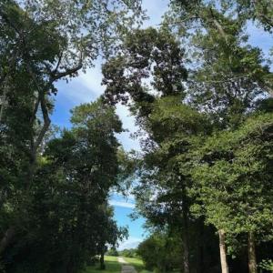 Photo #9 of 7T HUNGARS POINT, MACHIPONGO, VA 6.5 acres