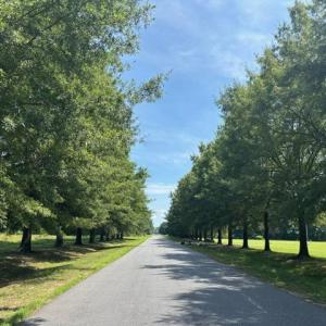 Photo #15 of 7T HUNGARS POINT, MACHIPONGO, VA 6.5 acres