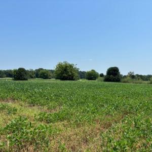 Photo #3 of 7T HUNGARS POINT, MACHIPONGO, VA 6.5 acres