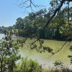 Photo #5 of 7T HUNGARS POINT, MACHIPONGO, VA 6.5 acres
