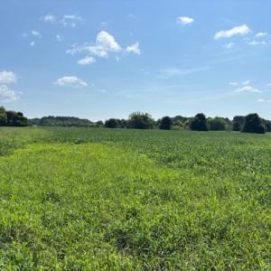 Photo #5 of 7T HUNGARS POINT, MACHIPONGO, VA 6.5 acres