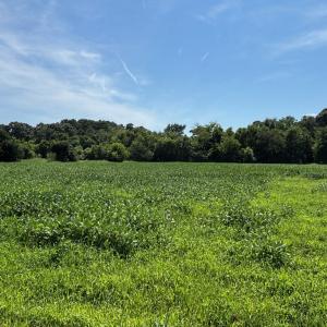 Photo #6 of 7T HUNGARS POINT, MACHIPONGO, VA 6.5 acres