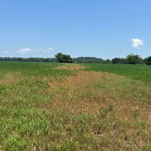 Photo #11 of 7T HUNGARS POINT, MACHIPONGO, VA 6.5 acres