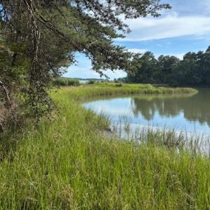 Photo #18 of 7T HUNGARS POINT, MACHIPONGO, VA 6.5 acres