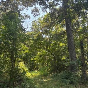 Photo #32 of 7T HUNGARS POINT, MACHIPONGO, VA 6.5 acres